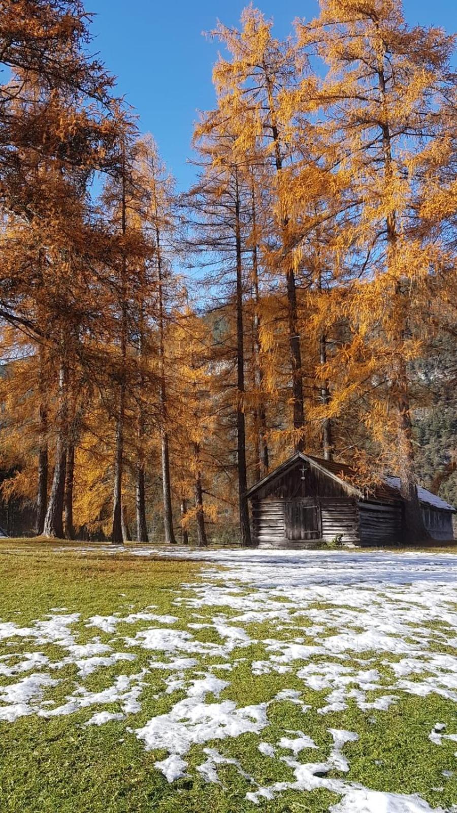 Chalet Am See Nassereith Exteriör bild